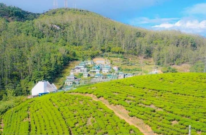 Aloka Home Stay Nuwara Eliya Eksteriør billede